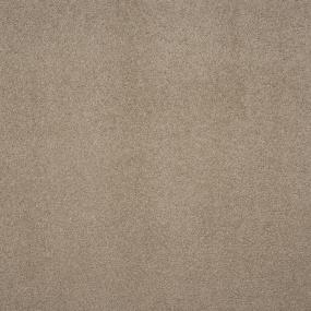Casual Texture Rawhide Beige/Tan Carpet