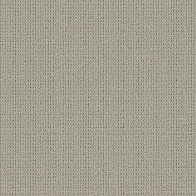 Loop Mineral Gray Carpet