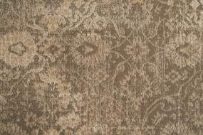 Pattern Rustic Taupe Beige/Tan Carpet