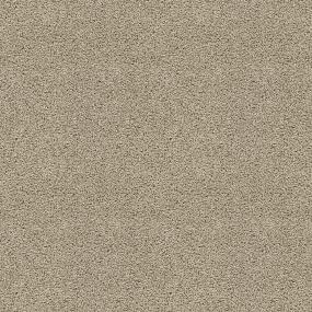 Textured Saxony Hall Of Fame Beige/Tan Carpet