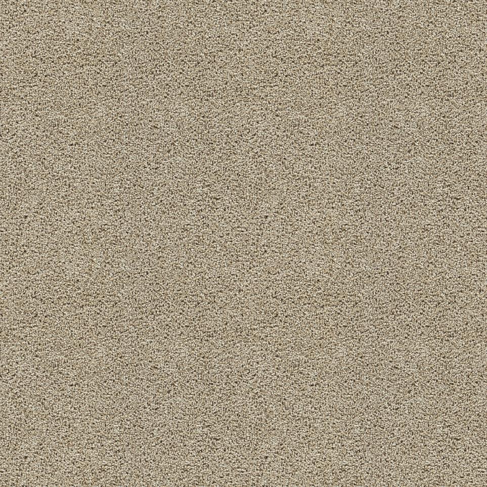 Textured Saxony Hall Of Fame Beige/Tan Carpet