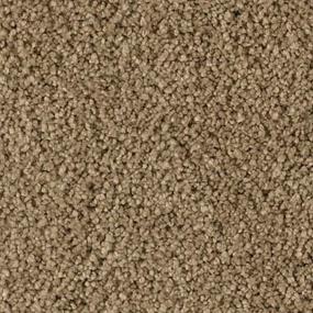 Textured Saxony Tinderbox Brown Carpet
