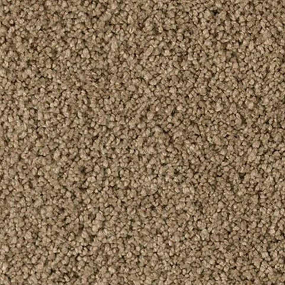 Textured Saxony Tinderbox Brown Carpet