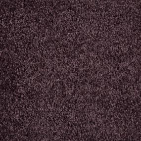 Textured Saxony Rapture Purple Carpet