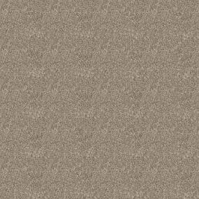 Textured Saxony Canvas Beige/Tan Carpet