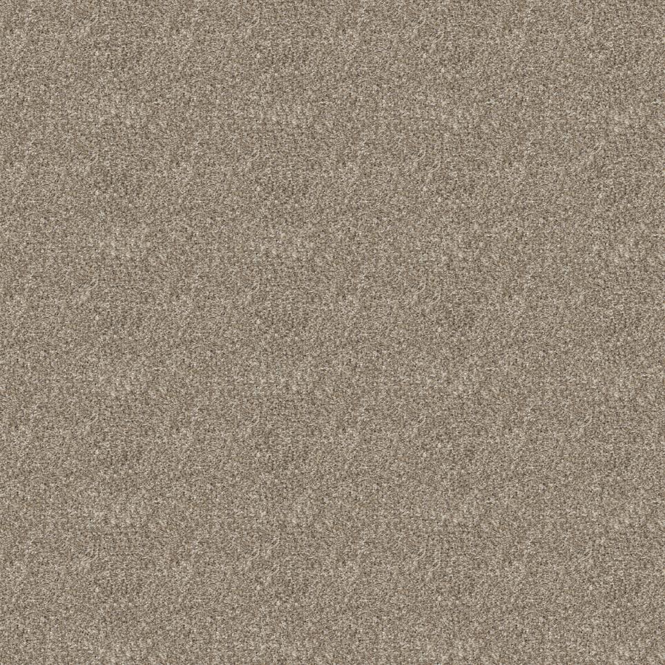 Plush Saxony Canvas Beige/Tan Carpet