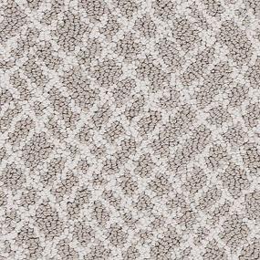 Loop Neutral Tint Gray Carpet