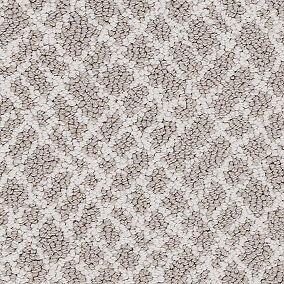 Loop Neutral Tint Gray Carpet