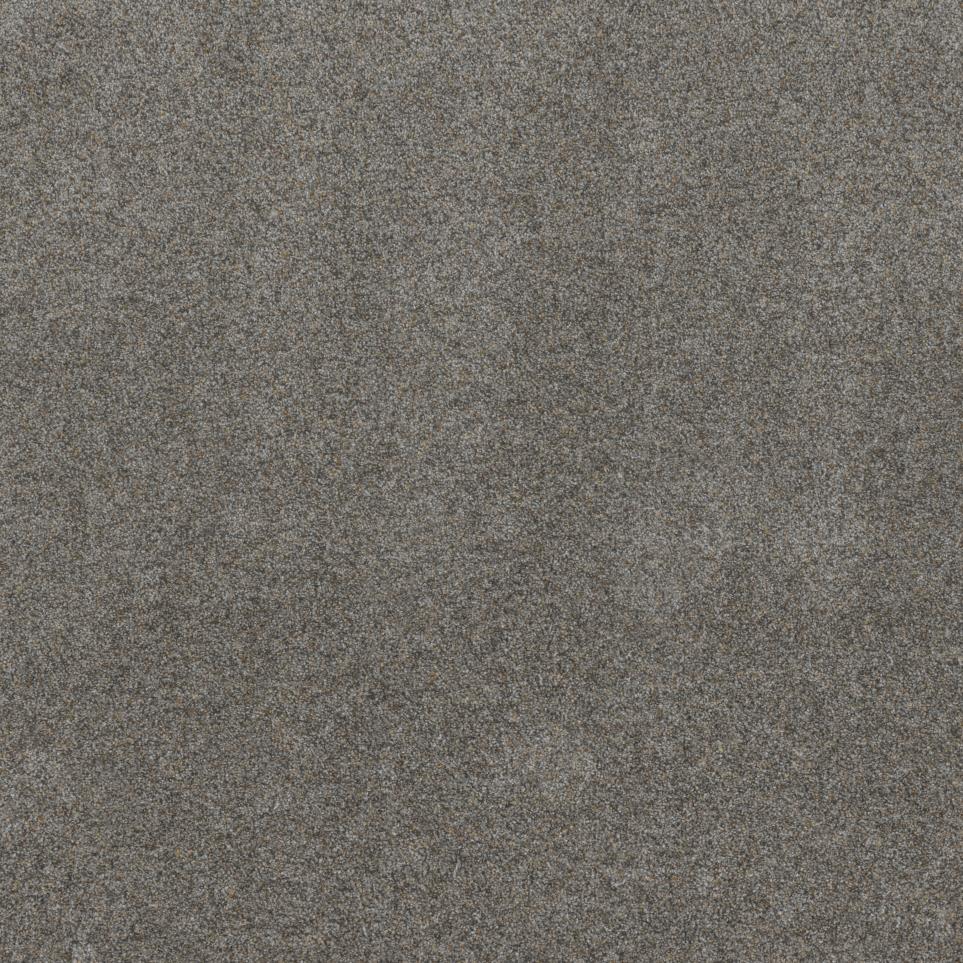 Texture Campus  Carpet