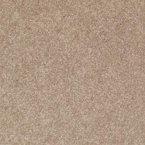 Textured Saxony Rich Earth Beige/Tan Carpet