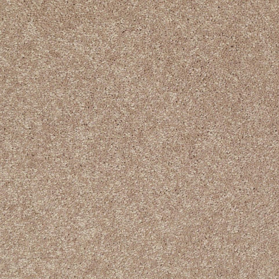 Textured Saxony Rich Earth Beige/Tan Carpet