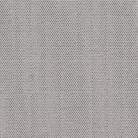 Pattern Winter Day Gray Carpet
