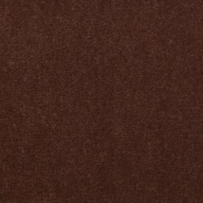 Cut Pile Chocolate Pudding Brown Carpet