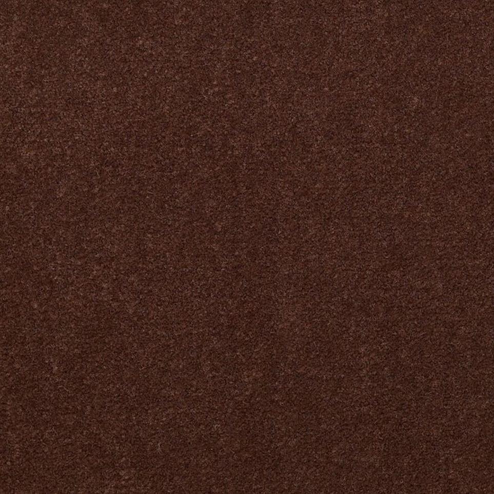 Cut Pile Chocolate Pudding Brown Carpet