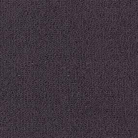 Loop Purple Plum Purple Carpet