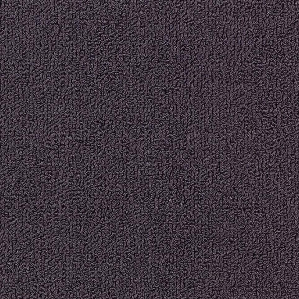 Loop Purple Plum Purple Carpet