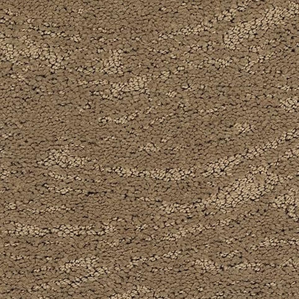 Pattern Native Soil Beige/Tan Carpet