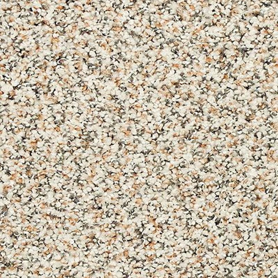 Textured Saxony Fine White White Carpet