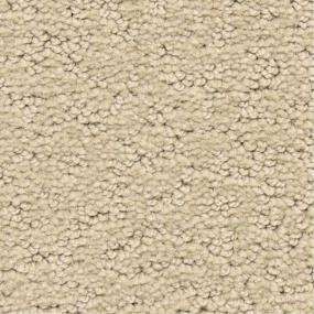 Pattern Ambassador Beige/Tan Carpet