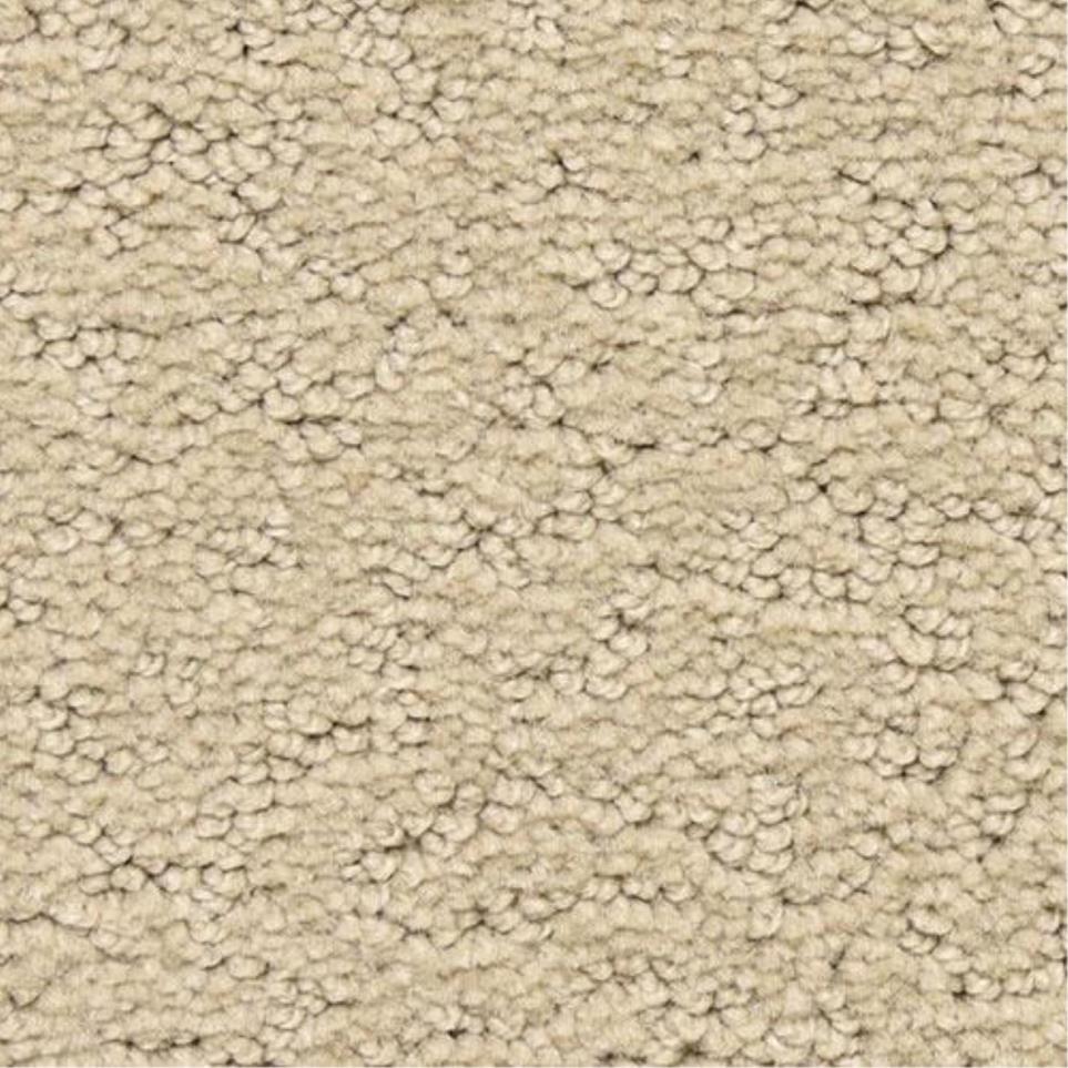 Pattern Ambassador Beige/Tan Carpet