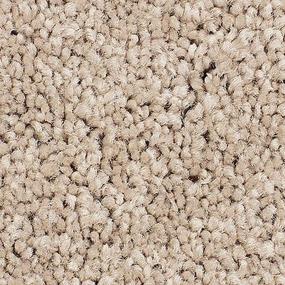 Textured Saxony Champagne Beige/Tan Carpet