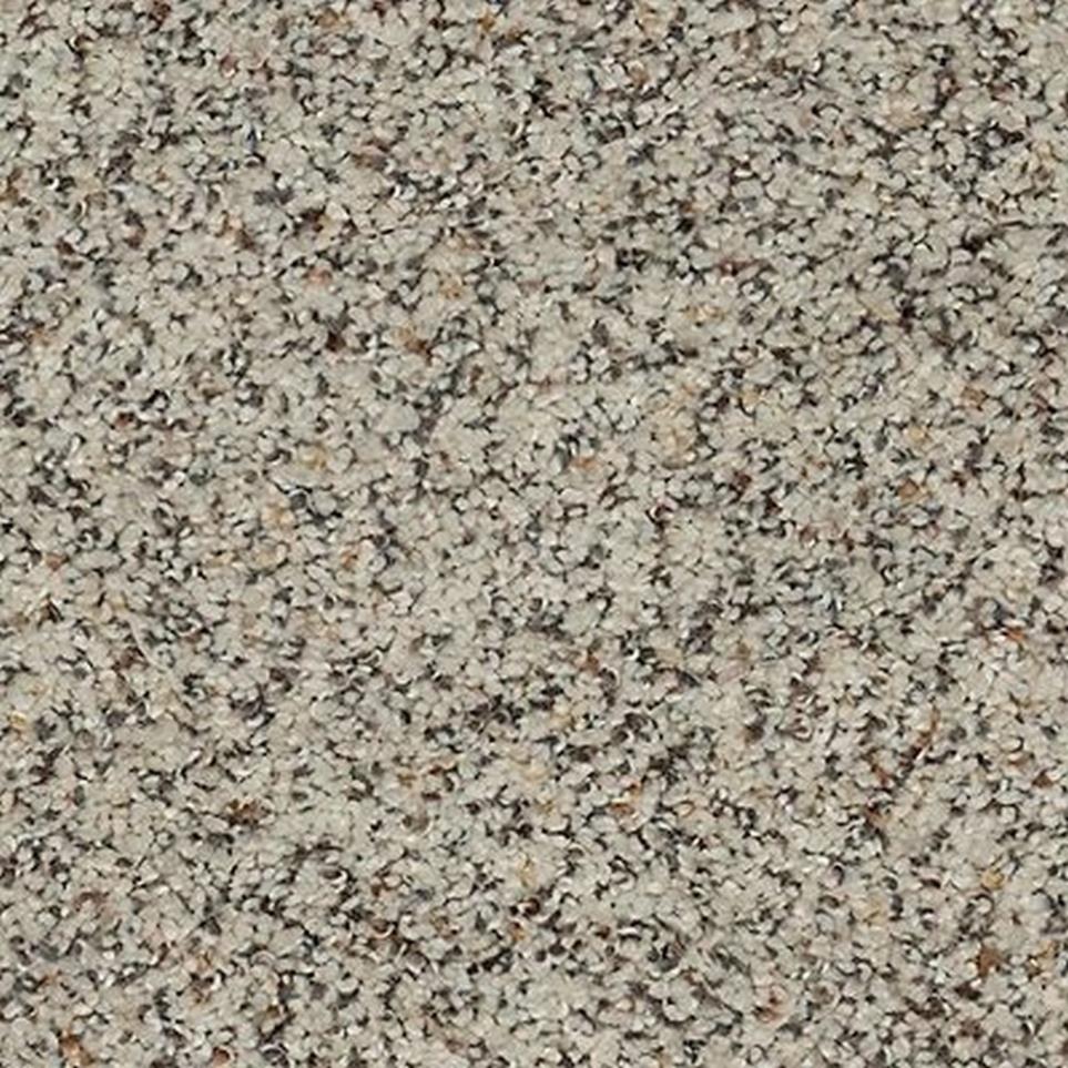 Textured Saxony Fine White White Carpet