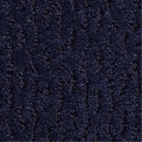 Pattern Tasting Blue Carpet