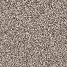 Textured Saxony Habersham Beige/Tan Carpet