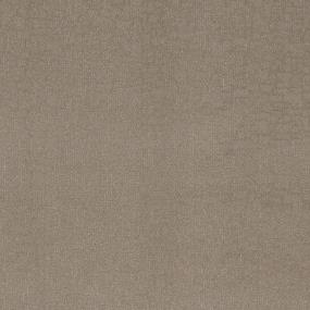 Pattern Shadow Beige/Tan Carpet