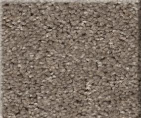 Texture Secret Passage Beige/Tan Carpet