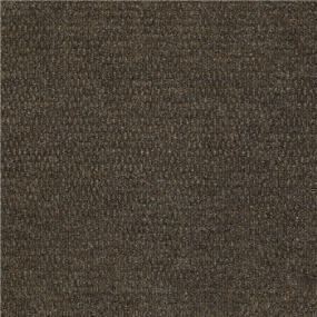 Pattern Embers Beige/Tan Carpet