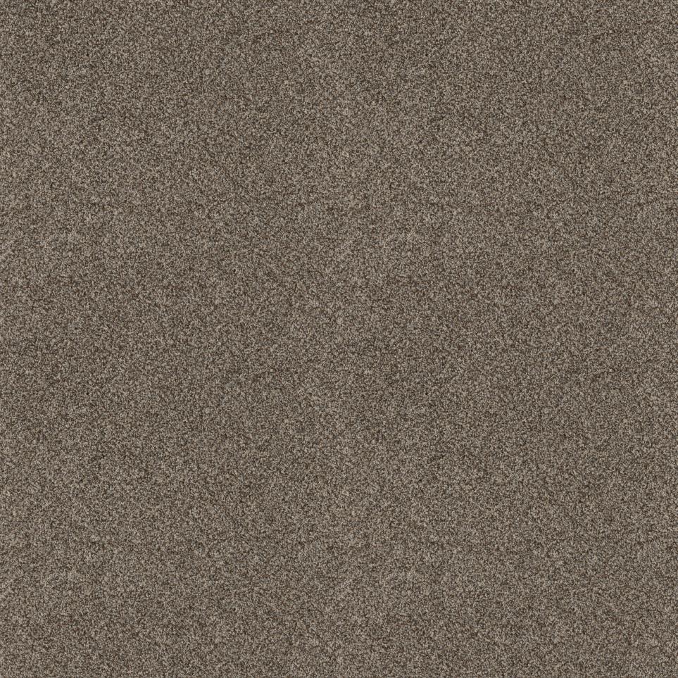Texture Shortbread  Carpet