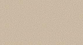 Textured Saxony Rice Pudding Beige/Tan Carpet