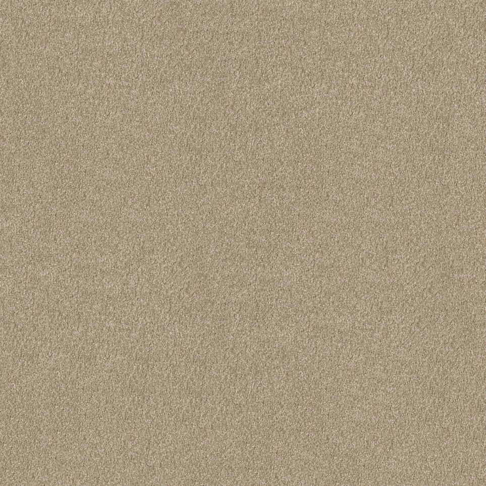 Plush Nutria Beige/Tan Carpet