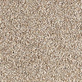 Textured Saxony Mineral Beige/Tan Carpet