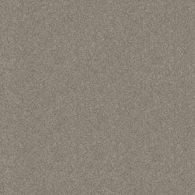 Casual Texture Woodwind Beige/Tan Carpet