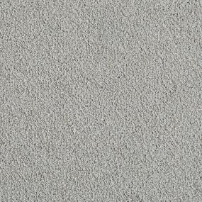 Cut Pile Lotus Gray Carpet