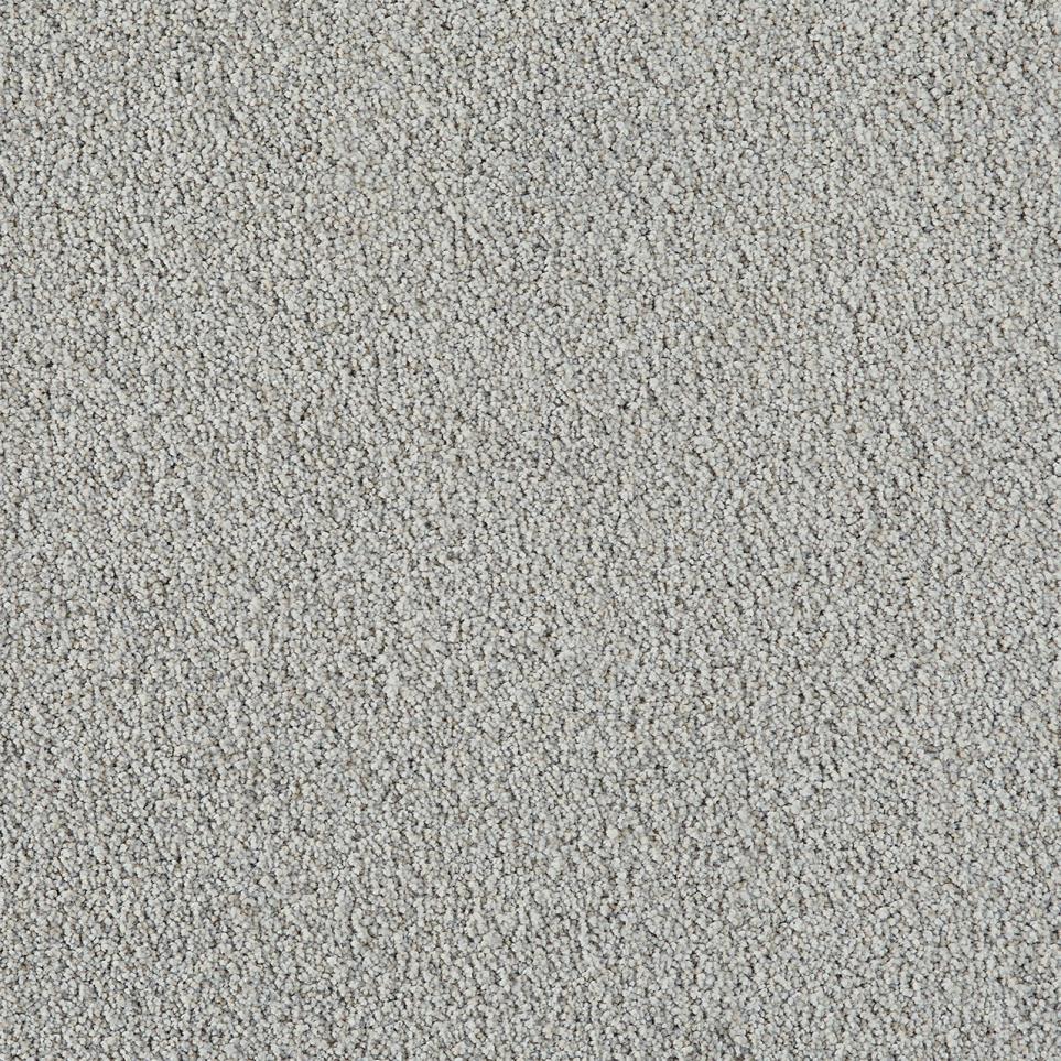 Cut Pile Lotus Gray Carpet