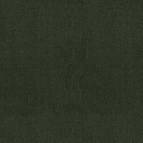 Pattern Hedges Brown Carpet
