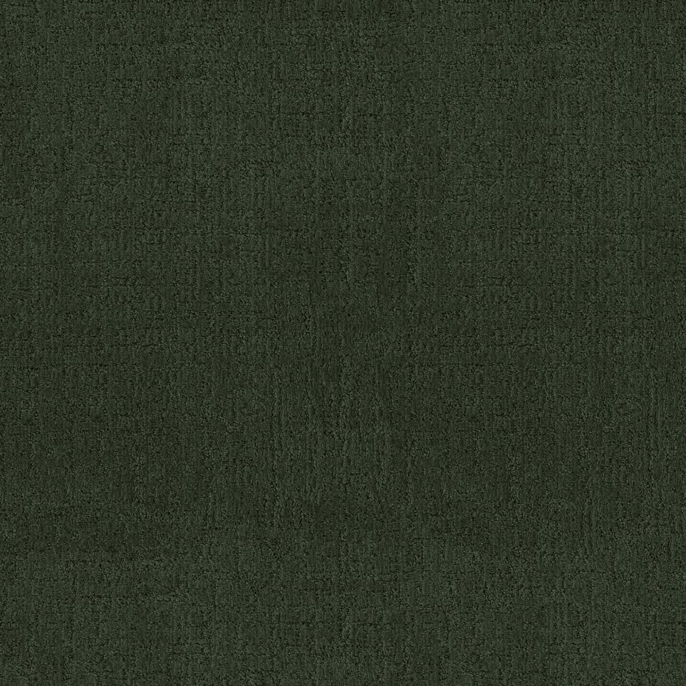 Pattern Hedges Brown Carpet