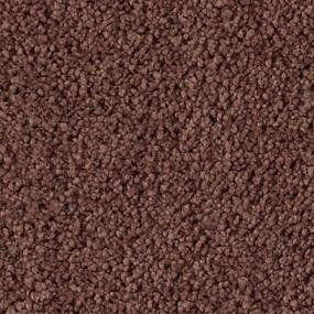 Textured Saxony Daydream Brown Carpet