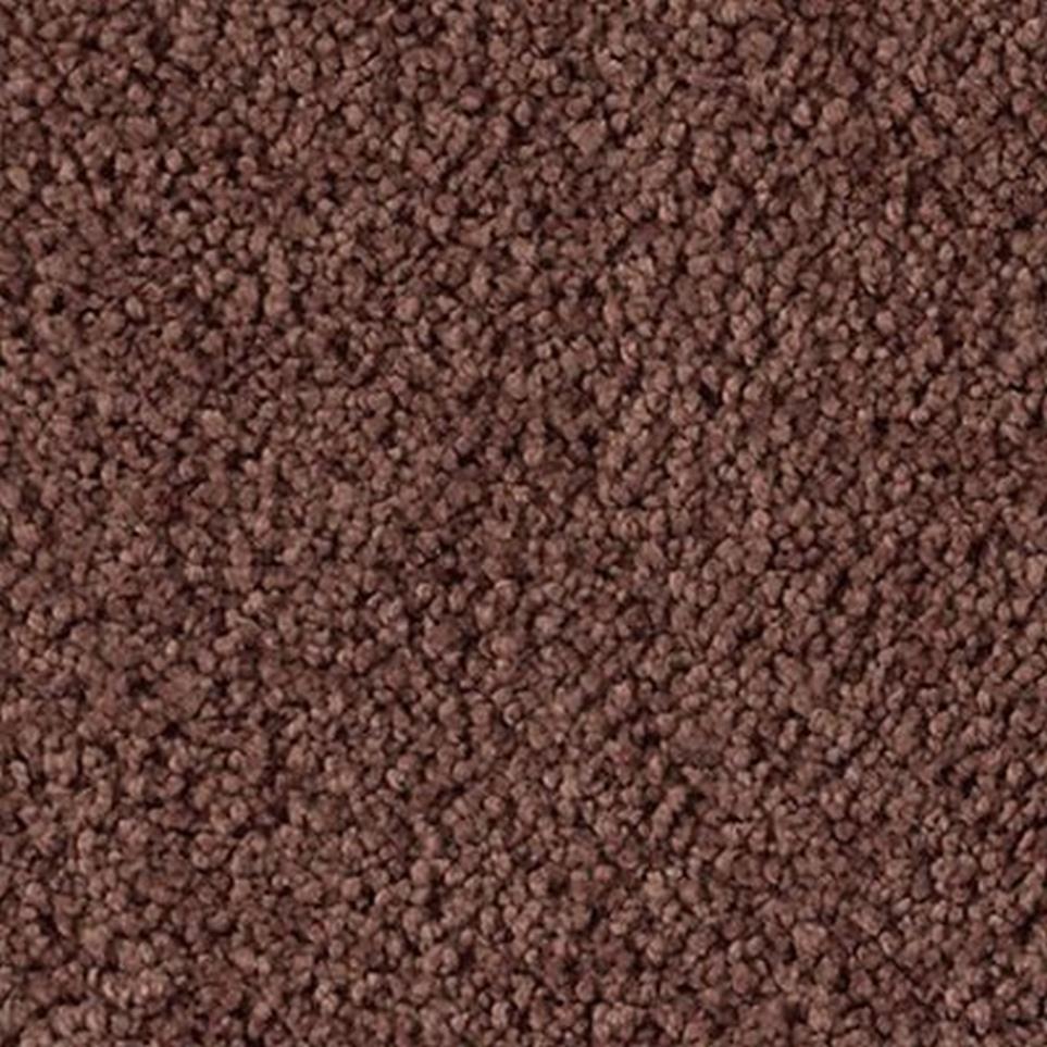 Textured Saxony Daydream Brown Carpet