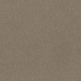 Textured Saxony Toffee Beige/Tan Carpet