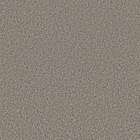 Textured Saxony Birch Gray Carpet