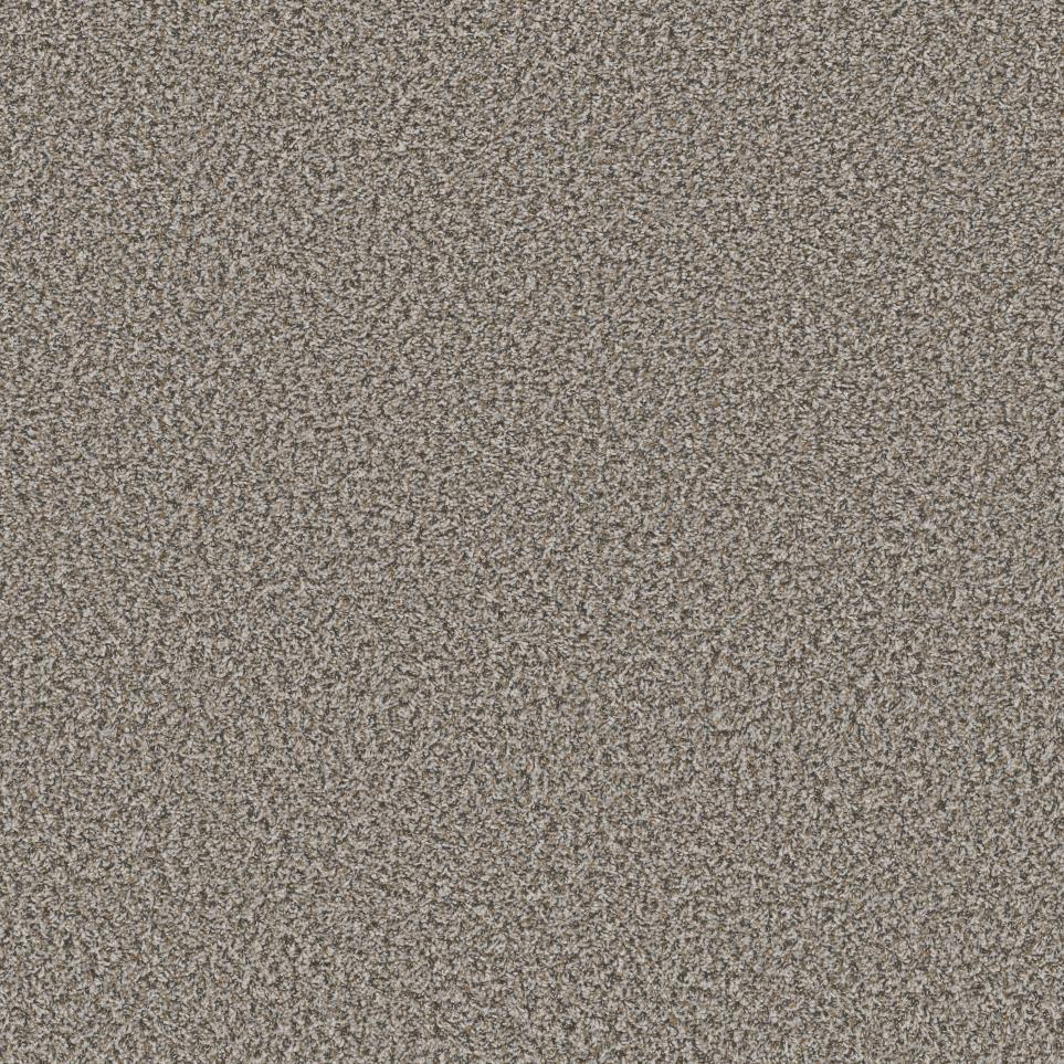 Texture Birch Gray Carpet