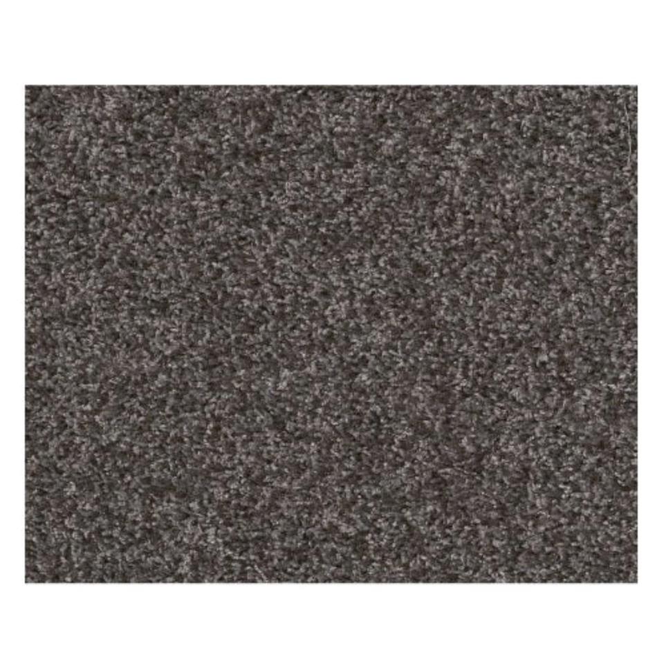 Casual Texture Obsidian Gray Carpet