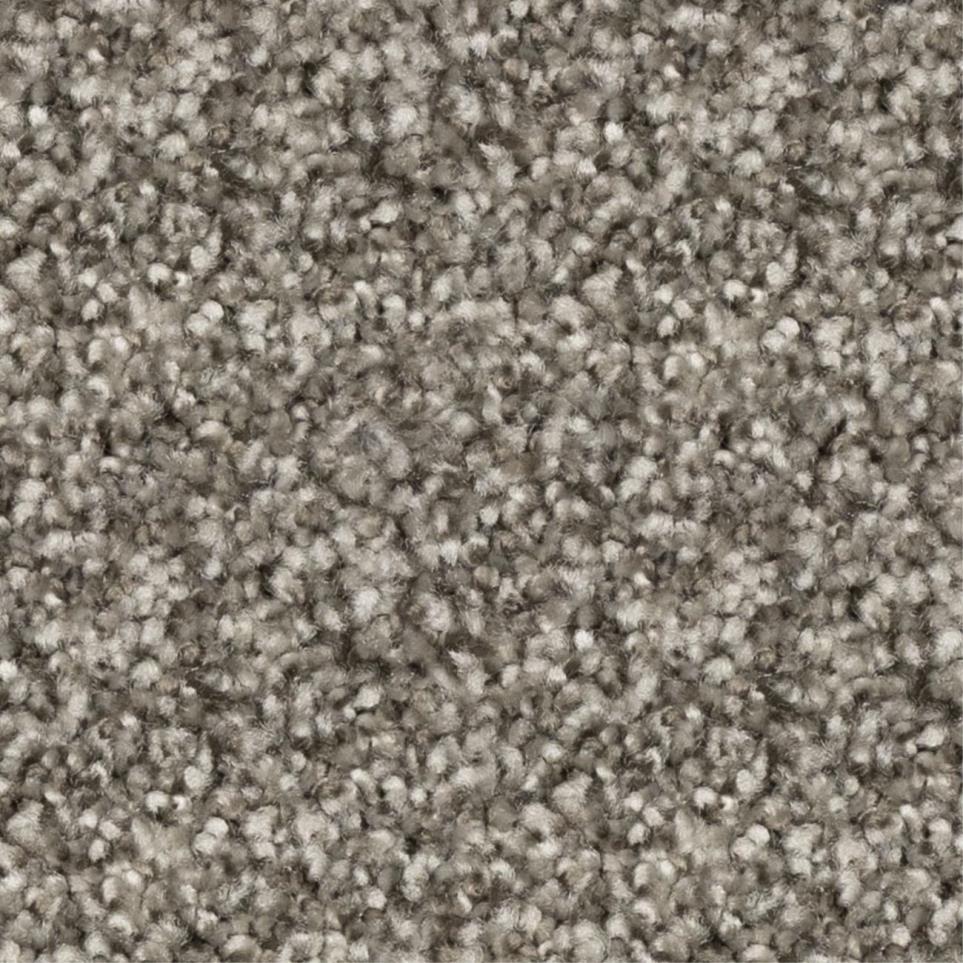 Textured Saxony Kaikoura Fog Gray Carpet