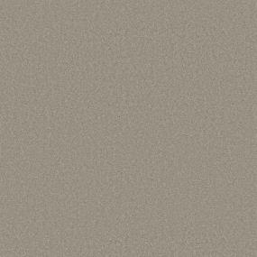Textured Saxony Fossil Gray Carpet