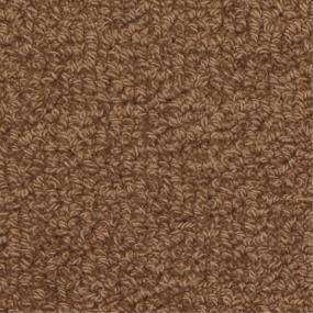 Loop Clack Brown Carpet