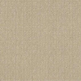 Pattern Honey Pot Beige/Tan Carpet